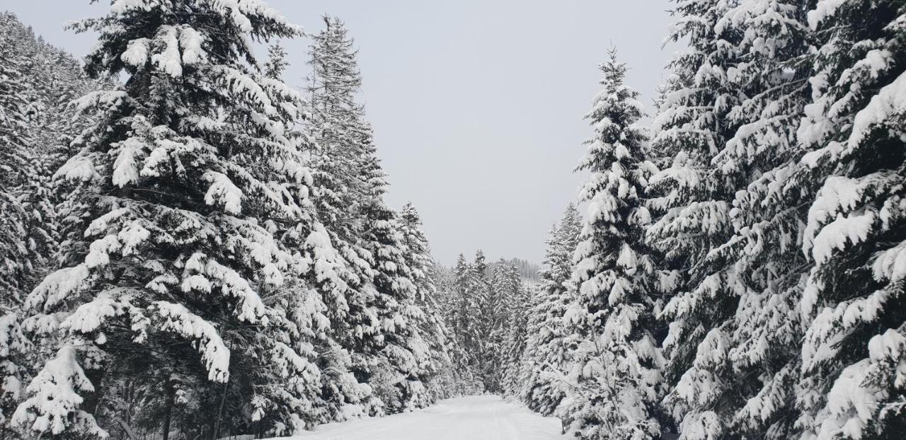 Лісовий Маєток Slavske Exterior photo